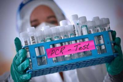 Business Insider: люди, заразившиеся «омикроном» после вакцинации, могут приобрести «супериммунитет»