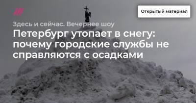 Петербург утопает в снегу: почему городские службы не справляются с осадками