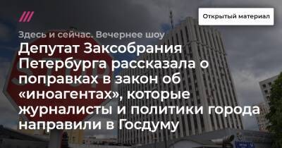 Депутат Заксобрания Петербурга рассказала о поправках в закон об «иноагентах», которые журналисты и политики города направили в Госдуму