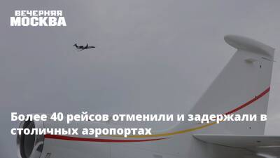 Дмитрий Горин - Более 40 рейсов отменили и задержали в столичных аэропортах - vm.ru - Москва - Россия - Таиланд - Москва