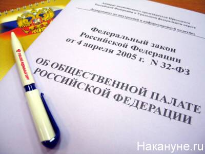 Общественная палата РФ раскритиковала внесудебную блокировку сайтов