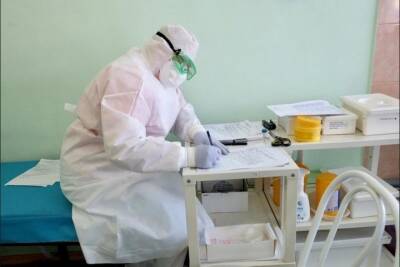 В Новосибирской области за неделю коронавирусом заболели 2 639 человек