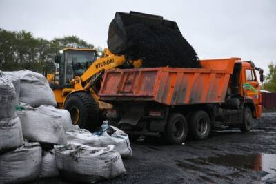 Власти Тувы запретили вывозить уголь из республики из-за ажиотажного спроса - interfax-russia.ru - Барнаул - Абакан - респ. Хакасия - Тува - Запрет