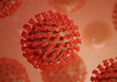 Ученые назвали способ получить «супериммунитет» против коронавируса
