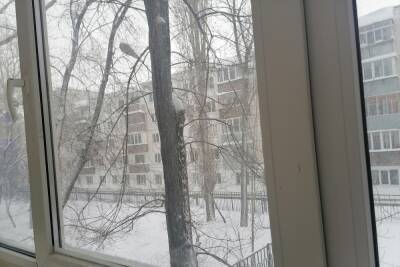 В Оренбурге 31 января тепло и снежно