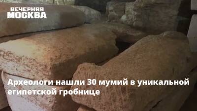 Археологи нашли 30 мумий в уникальной египетской гробнице - vm.ru - Россия - Египет - Находки