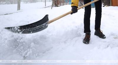 Молодежь Могилева помогает пожилым людям в уборке снега
