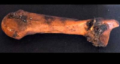 Елен Коваль - Археологи обнаружили в Шотландии пещеру, заполненную человеческими костями (Фото, Видео) - lenta.ua - Украина - Англия - Египет - Шотландия