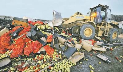 Депутат от ЛДПР предложил запретить уничтожение конфискованных продуктов питания