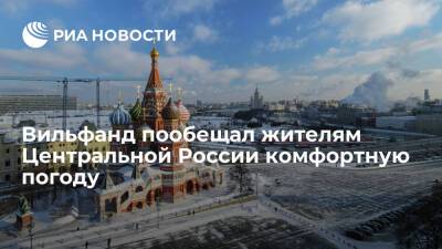 Метеоролог Вильфанд пообещал жителям Центральной России комфортную погоду