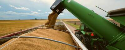 Экспорт зерна из России в текущем сельхозгоду сократился на 25,7%