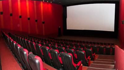 Нижегородцы смогут купить билеты в ряде кинотеатров по «Пушкинской карте»