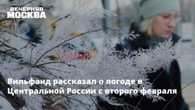 Вильфанд рассказал о погоде в Центральной России с второго февраля