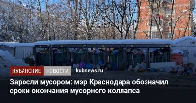 Мэр приказал расчистить Краснодар от мусора до конца дня