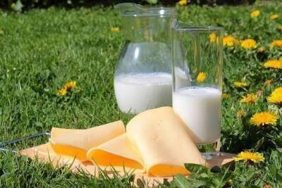 Минсельхоз сообщил о возможном подорожании молочной продукции