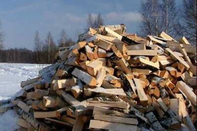 Ивановскому приюту срочно нужны дрова для приготовления еды питомцам