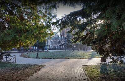 В г.о. Пушкинский в 2022 году продолжат благоустраивать парки