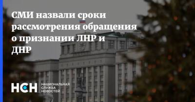 СМИ назвали сроки рассмотрения обращения о признании ЛНР и ДНР