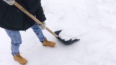 Аналитики: в России в январе вырос спрос на товары для уборки снега