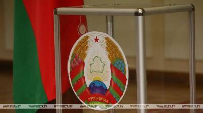 Более 700 участков для голосования на референдуме планируют организовать в Могилевской области