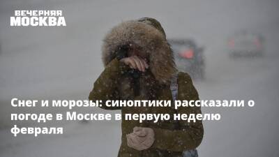 Снег и морозы: синоптики рассказали о погоде в Москве в первую неделю февраля