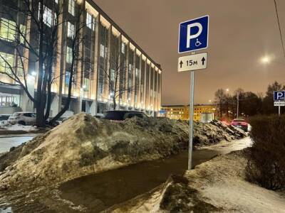 Петербуржцы бомбардировали соцсети и официальные порталы жалобами на снежный коллапс