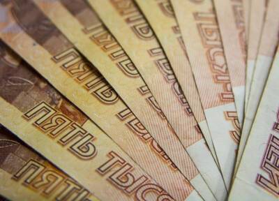 Прожиточный минимум должников в России защитят от списания приставов