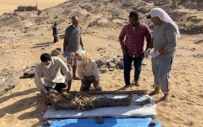 Александр Македонский - В Египте нашли уникальную гробницу с 30 мумиями - korrespondent.net - Украина - Египет - Греция