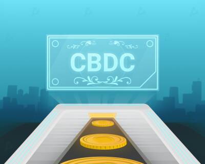 Разработчики сообщили об остановке работы системы карибской CBDC