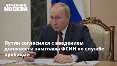 Путин согласился с введением должности замглавы ФСИН по службе пробации