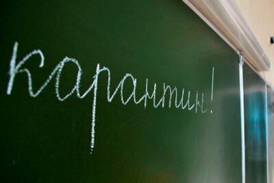 230 школ в России в настоящее время находятся на карантине