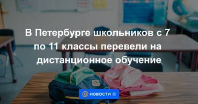 В Петербурге школьников с 7 по 11 классы перевели на дистанционное обучение
