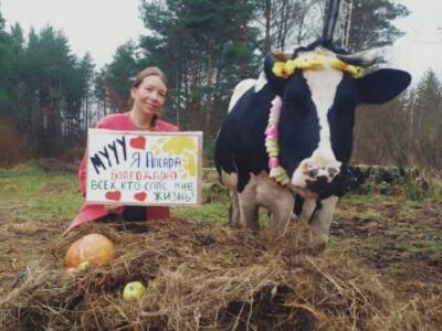 Приют для коров открылся в Псковской области