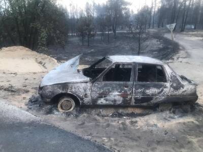 Масштабные пожары на Луганщине: чиновникам ГСЧС и управления лесного хозяйства области сообщено о подозрении