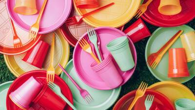 Найдена связь между пластиковой посудой и ожирением