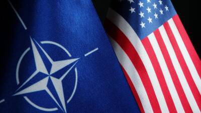 Чешский эксперт по безопасности предложил отказаться от идеи членства Украины в НАТО