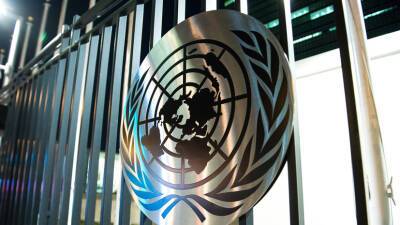 В Нью-Йорке началось инициированное США заседание СБ ООН по ситуации вокруг Украины