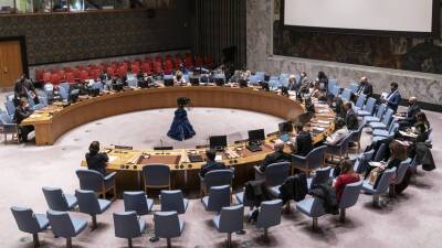 Россия запросила голосование в СБ ООН по вопросу проведения заседания по Украине