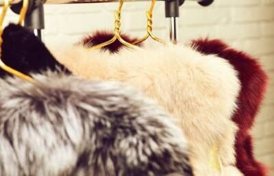 Michael Kors - Ralph Lauren - Giorgio Armani - Дом моды Dolce & Gabbana с 2022 года больше не будет использовать натуральный мех в коллекциях - ont.by - Белоруссия