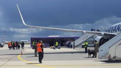 Литва попросит уточнить отчет ICAO о принудительной посадке Ryanair в Минске