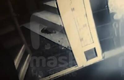 Видео: убитый сотрудник ФСБ в Выборге пытался успокоить буйных посетителей клуба