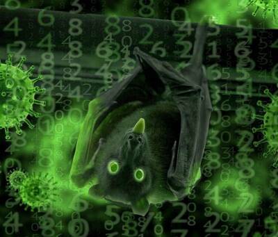 Ученые предупредили о новом опасном типе коронавируса NeoCov