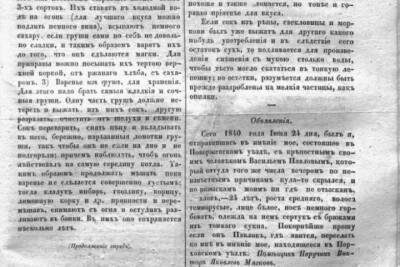 Псковские архивисты показали старинное объявление о беглом крепостном