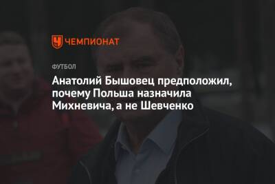 Анатолий Бышовец предположил, почему Польша назначила Михневича, а не Шевченко