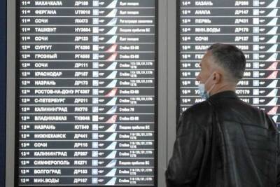 В Москве задержали более 50 авиарейсов из-за снегопада