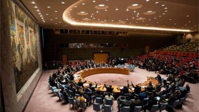 Совбез ООН собрался на заседание по Украине: о чем говорили