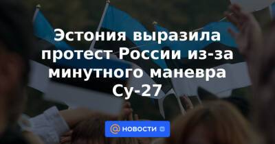 Эстония выразила протест России из-за минутного маневра Су-27