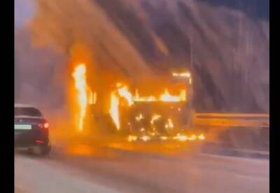 Видео: пассажирский автобус сгорел дотла на трассе у поселка Ропша