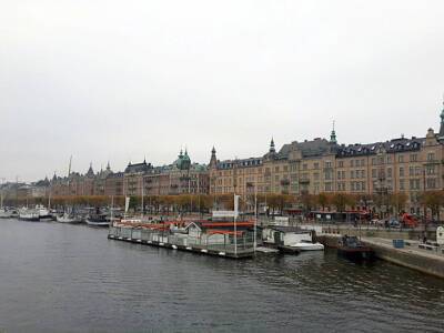 В Стокгольме арестован «русский шпион», запускавший дрон над королевским дворцом