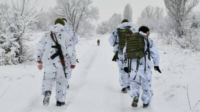 Премьер Украины Шмыгаль не наблюдает формирование ударных группировок России на границе